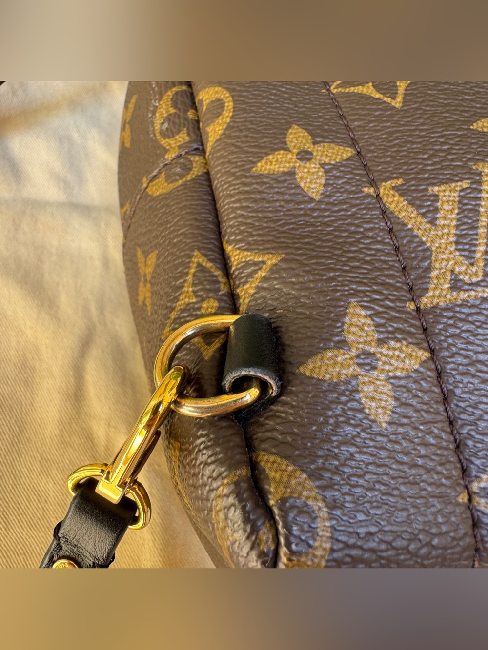 Louis Vuitton Monogram Mini Palm Springs Backpack - Picture 9 of 16